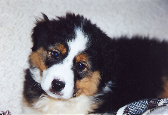 littleem