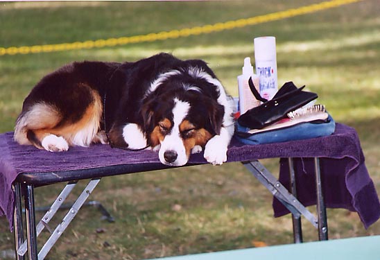 sleepygirl