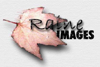 Back to Raine Images Home Page