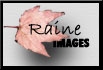 Back to Raine Images Home Page